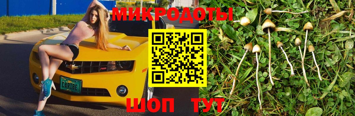 Галлюциногенные грибы MAGIC MUSHROOMS  Вход с VPN  Тавда 